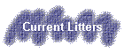 Current Litters