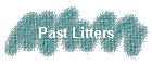 Past Litters