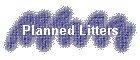 Planned Litters